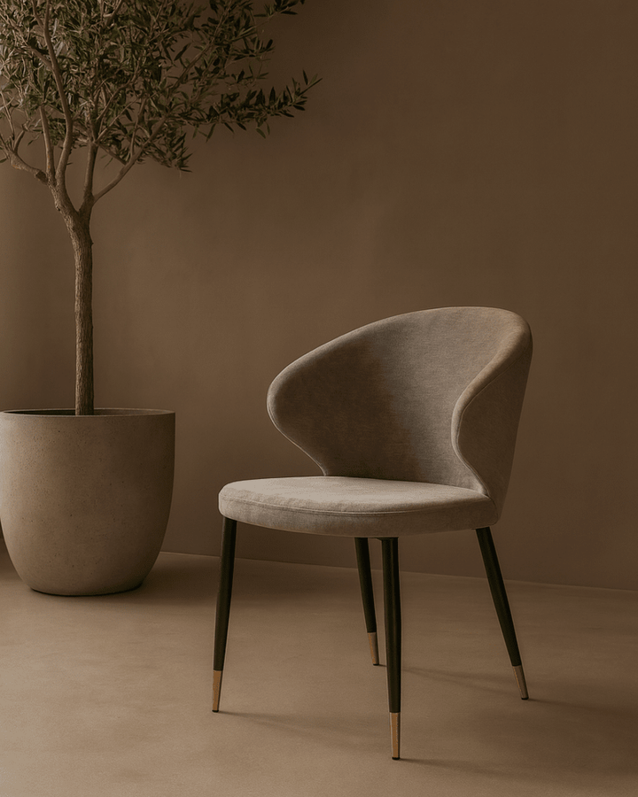 Bellroy Dining Chair - Giselle Charcoal Tommy Franks 2