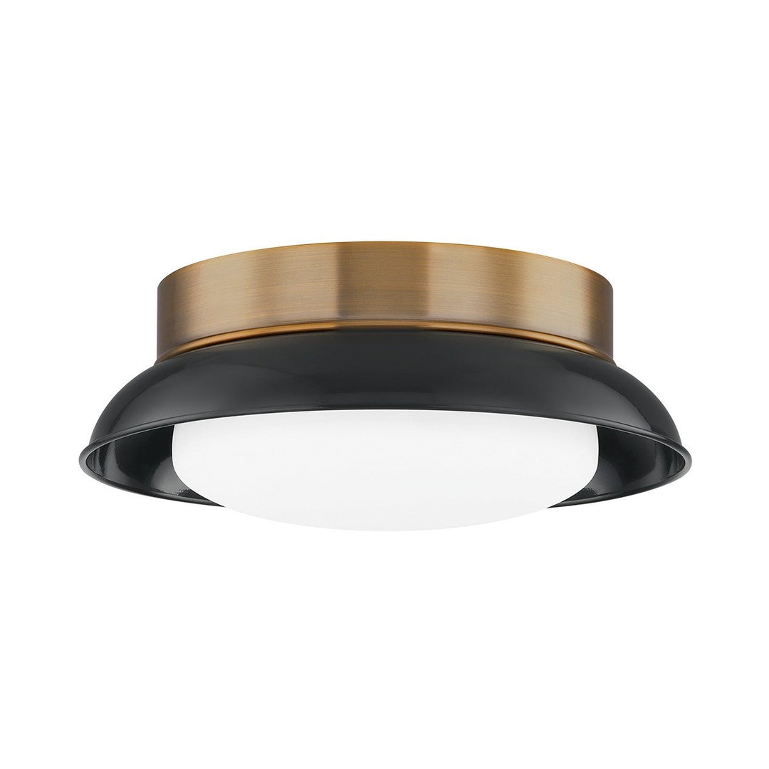 Arnie 2 Light Flush Mount - Patina Brass & Gloss Black Hudson Valley Lighting 1