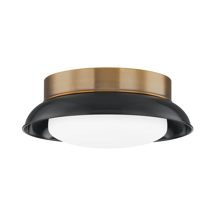 Arnie 2 Light Flush Mount - Patina Brass & Gloss Black Hudson Valley Lighting 1