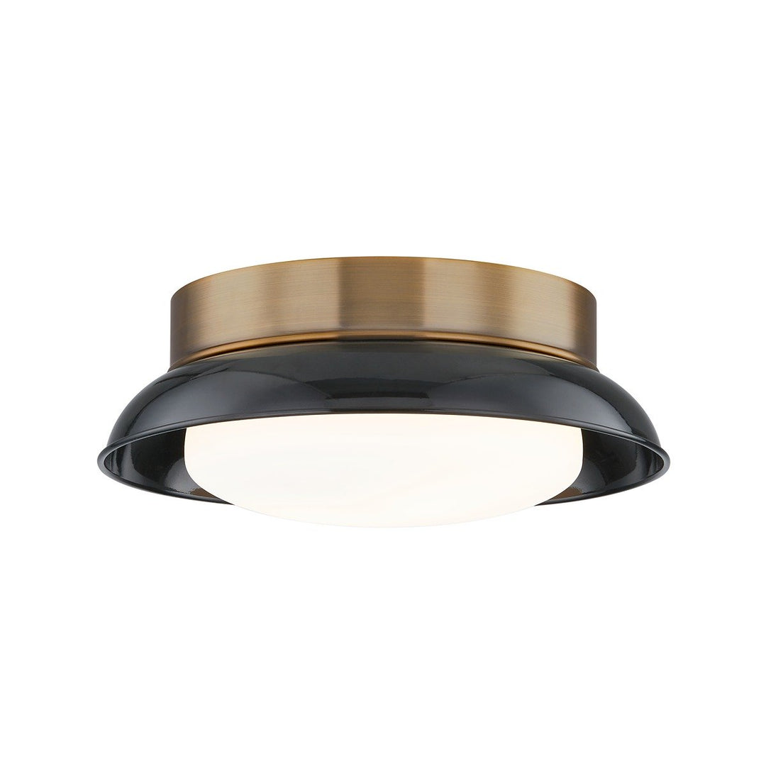 Arnie 2 Light Flush Mount - Patina Brass & Gloss Black Hudson Valley Lighting 2