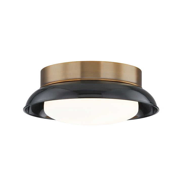 Arnie 2 Light Flush Mount - Patina Brass & Gloss Black Hudson Valley Lighting 2