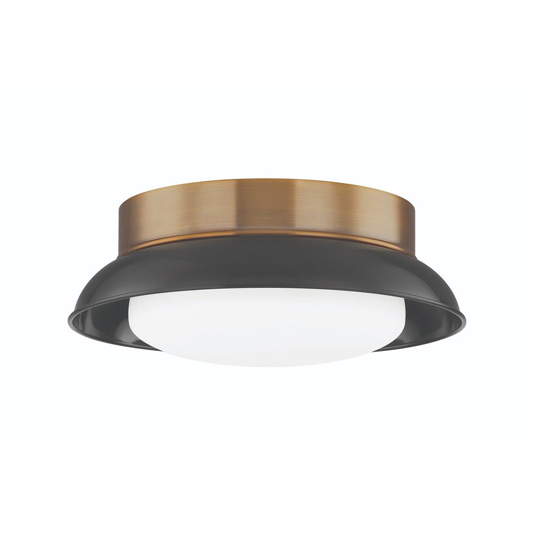 Arnie 2 Light Flush Mount - Patina Brass & Gloss Black Hudson Valley Lighting 3