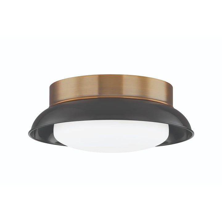 Arnie 2 Light Flush Mount - Patina Brass & Gloss Black Hudson Valley Lighting 3