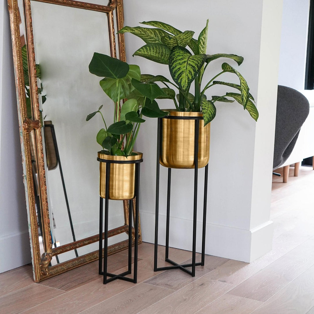 gold pot plant stand Calla Planter Stand - Black & Antique Gold Small