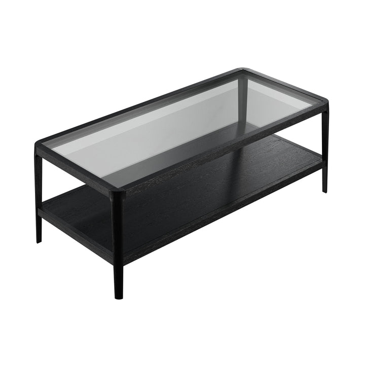 Abberley Rectangular Coffee Table - Black DIDesigns 2