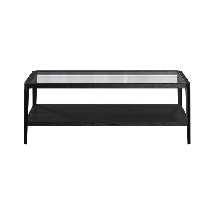 Abberley Rectangular Coffee Table - Black DIDesigns 1