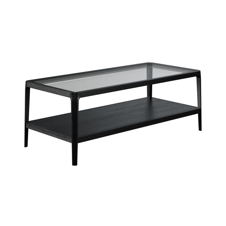 Abberley Rectangular Coffee Table - Black DIDesigns 3