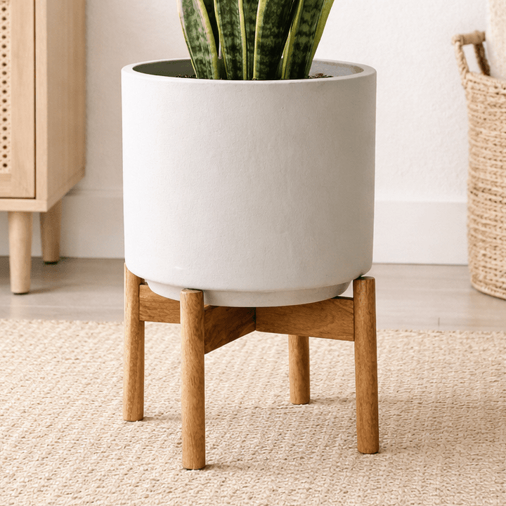 Potted plant on a wooden stand in a room with a cabinet and basket.