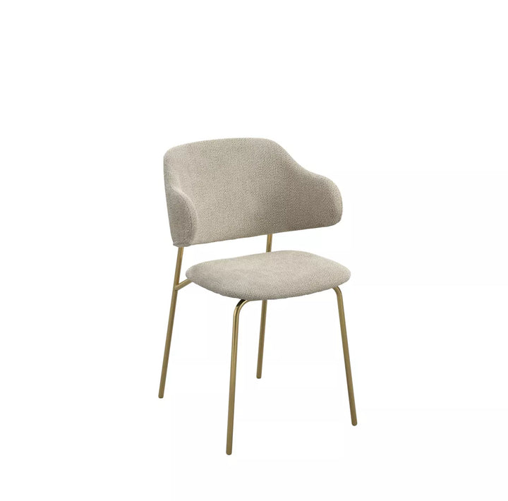 Joni Gold Set of 2 Dining Chairs - Wheat