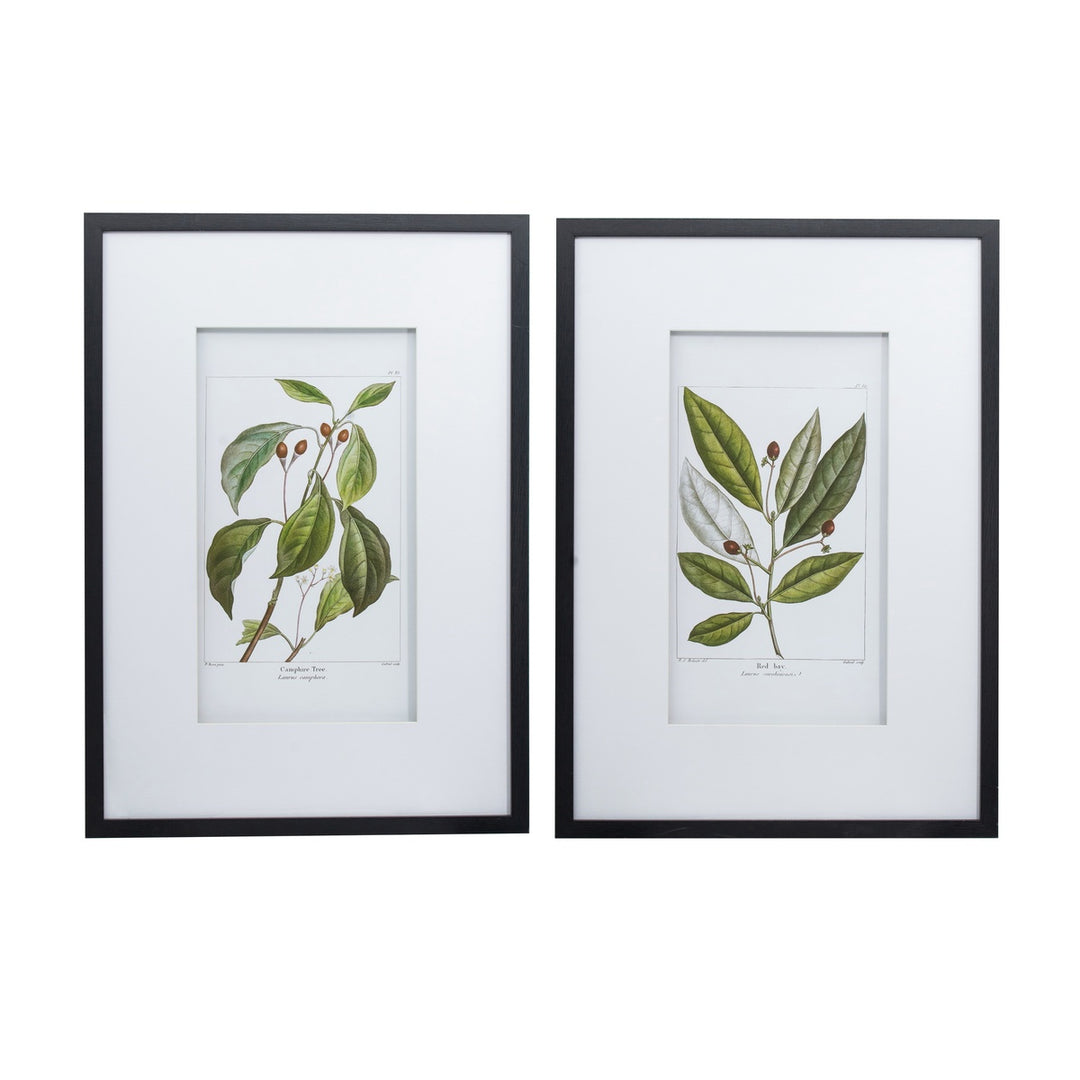 Botanical Set of 2 Leaf Wall Art