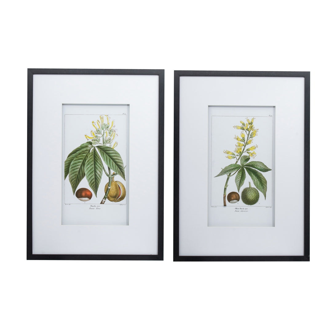 Botanical Set of 2 Wall Art