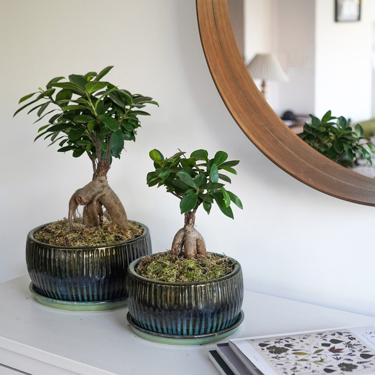 Ivyline Set of 2 Round Reactive Glaze Bonsai Planters in Emerald