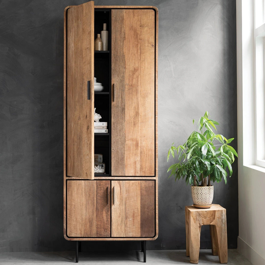 Evo 2 Door Cupboard - Recycled Teakwood