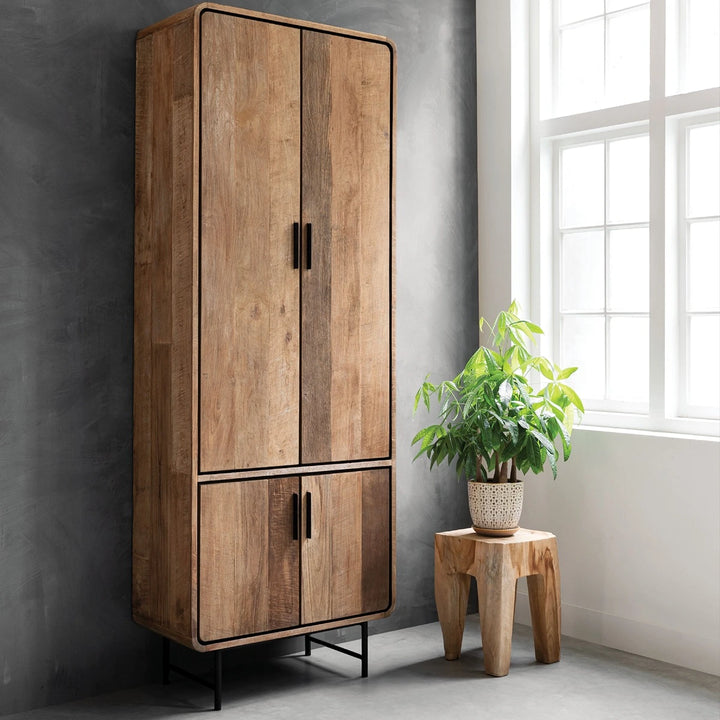 Evo 2 Door Cupboard - Recycled Teakwood
