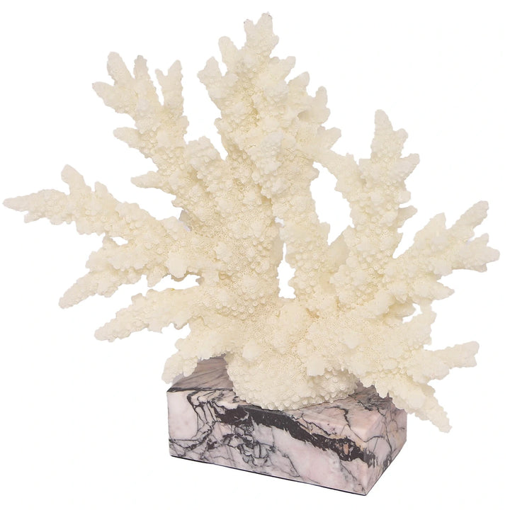 Raize Coral Sculpture