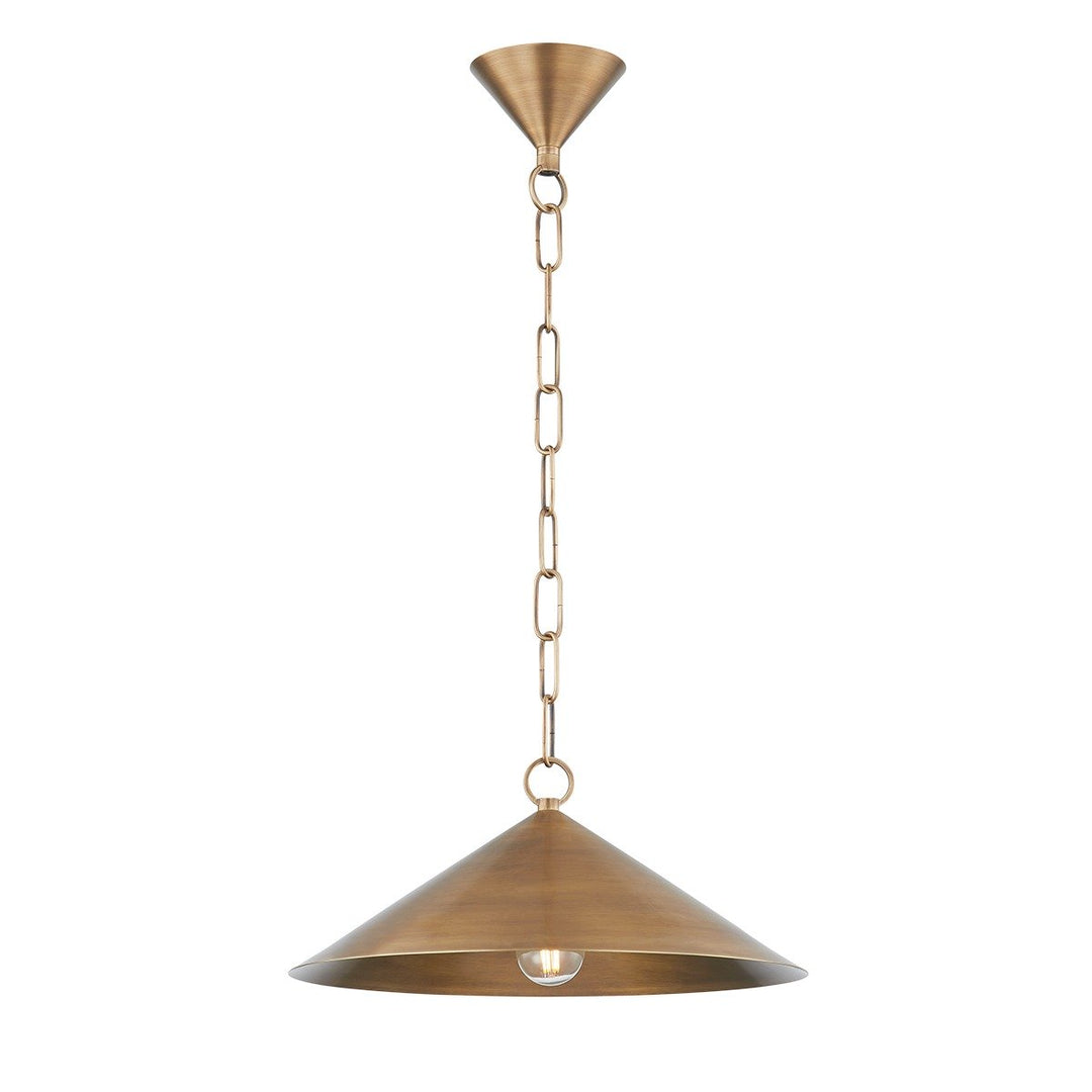 Midvale 1 Light Pendant Light - Patina Brass Hudson Valley Lighting 1