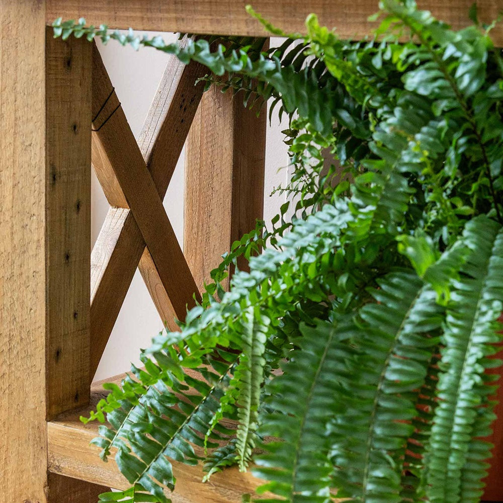 Garden Trading Oxhill Console Table Natural