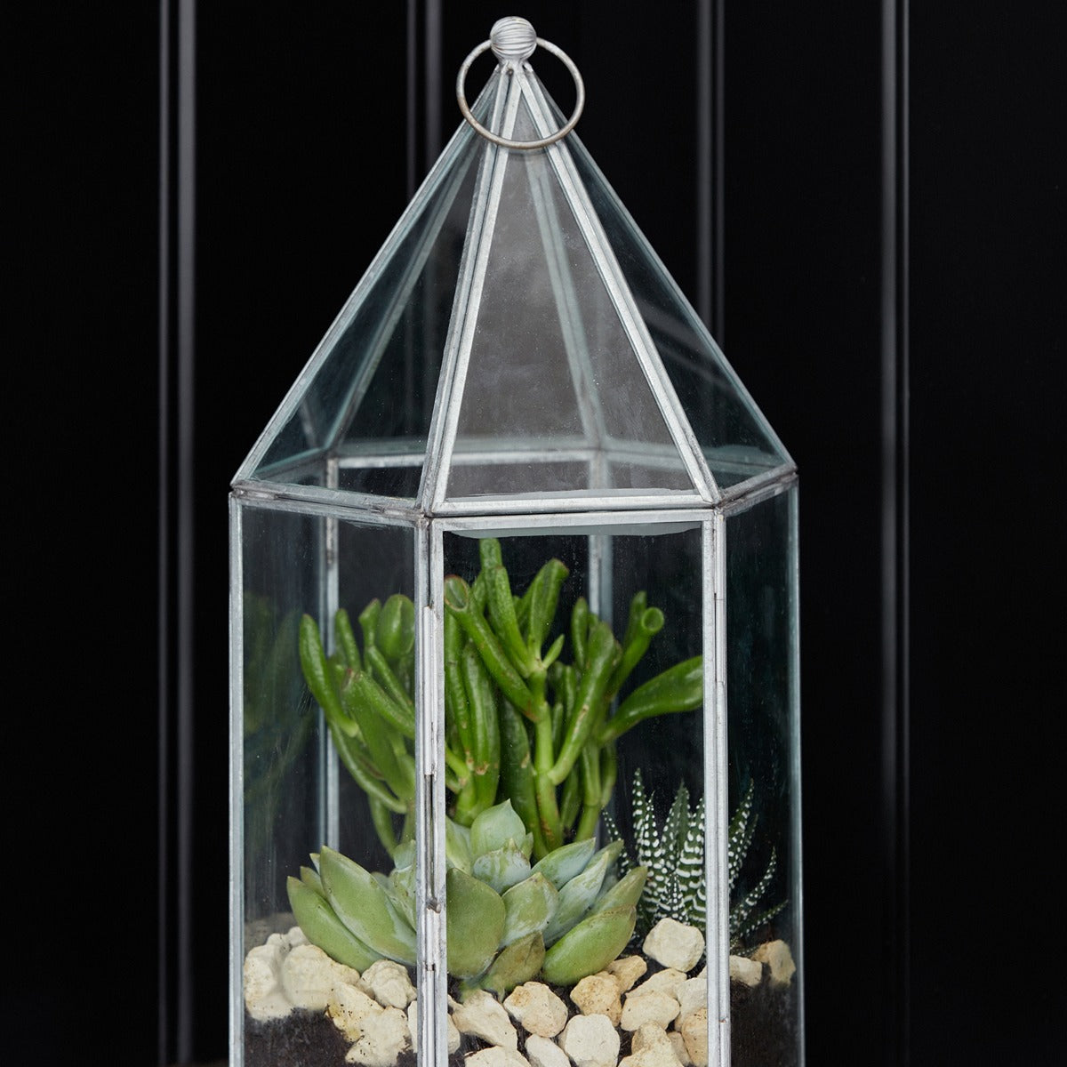 Ivyline Glasshouse Terrarium Galvanised