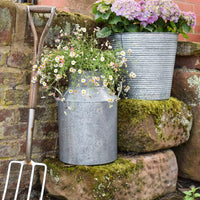 Ivyline Galvanised Milk Churn