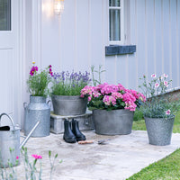 Ivyline Galvanised Milk Churn