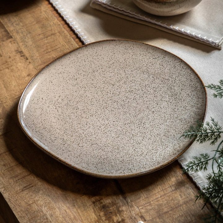 Speckle Glaze Dinner Plates - Oatmeal Pack of 4 GalleryDirect 2