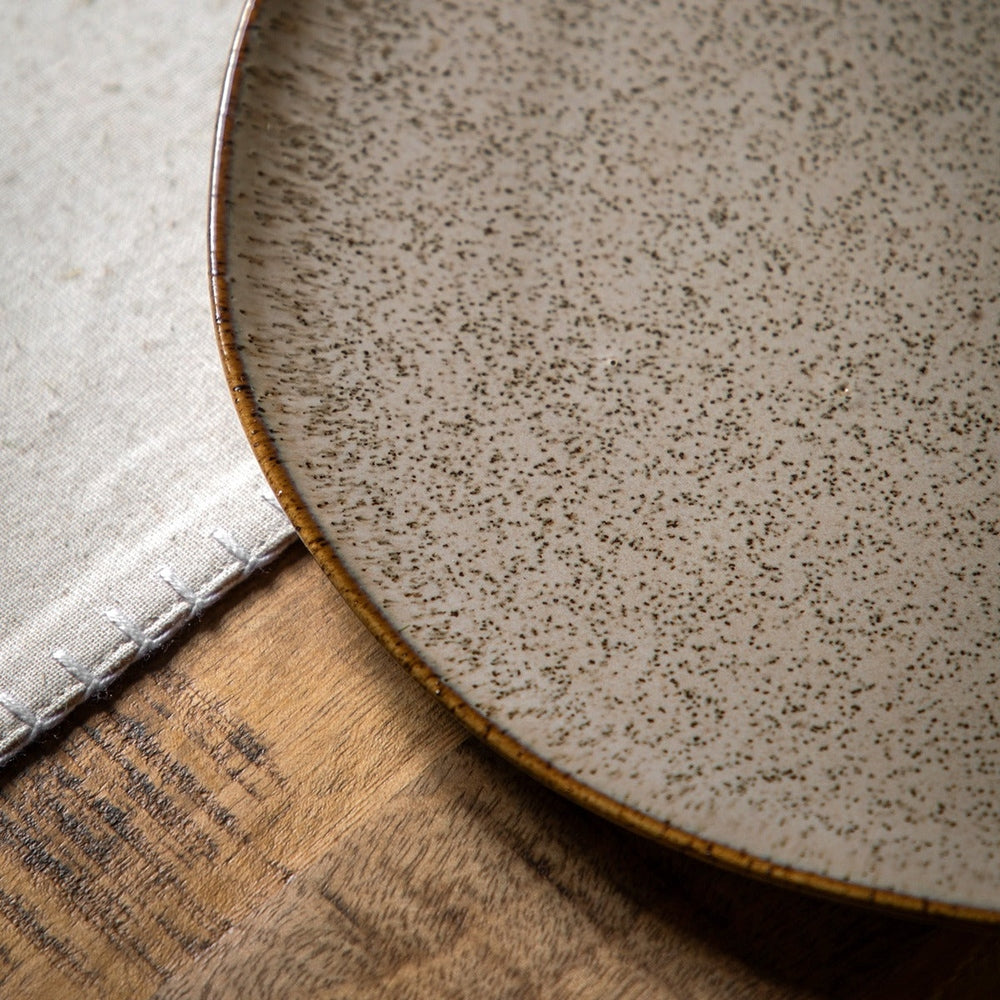 Speckle Glaze Dinner Plates - Oatmeal Pack of 4 GalleryDirect 3