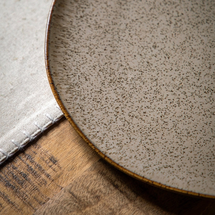 Speckle Glaze Dinner Plates - Oatmeal Pack of 4 GalleryDirect 3