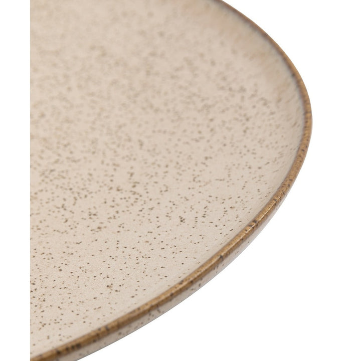 Speckle Glaze Dinner Plates - Oatmeal Pack of 4 GalleryDirect 5
