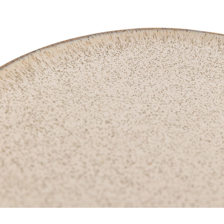 Speckle Glaze Dinner Plates - Oatmeal Pack of 4 GalleryDirect 6