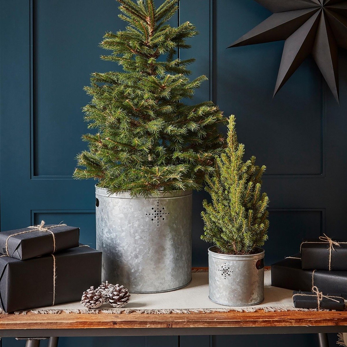 Ivyline Indoor Christmas Tree Bucket with Star in Galvanised Steel - Large