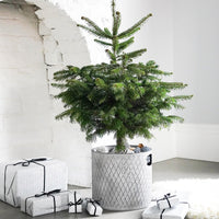 Ivyline Indoor Christmas Tree Bucket in Zinc - Large