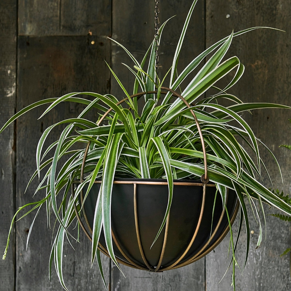 Ivyline Indoor Kensington Brass Hanging Planter