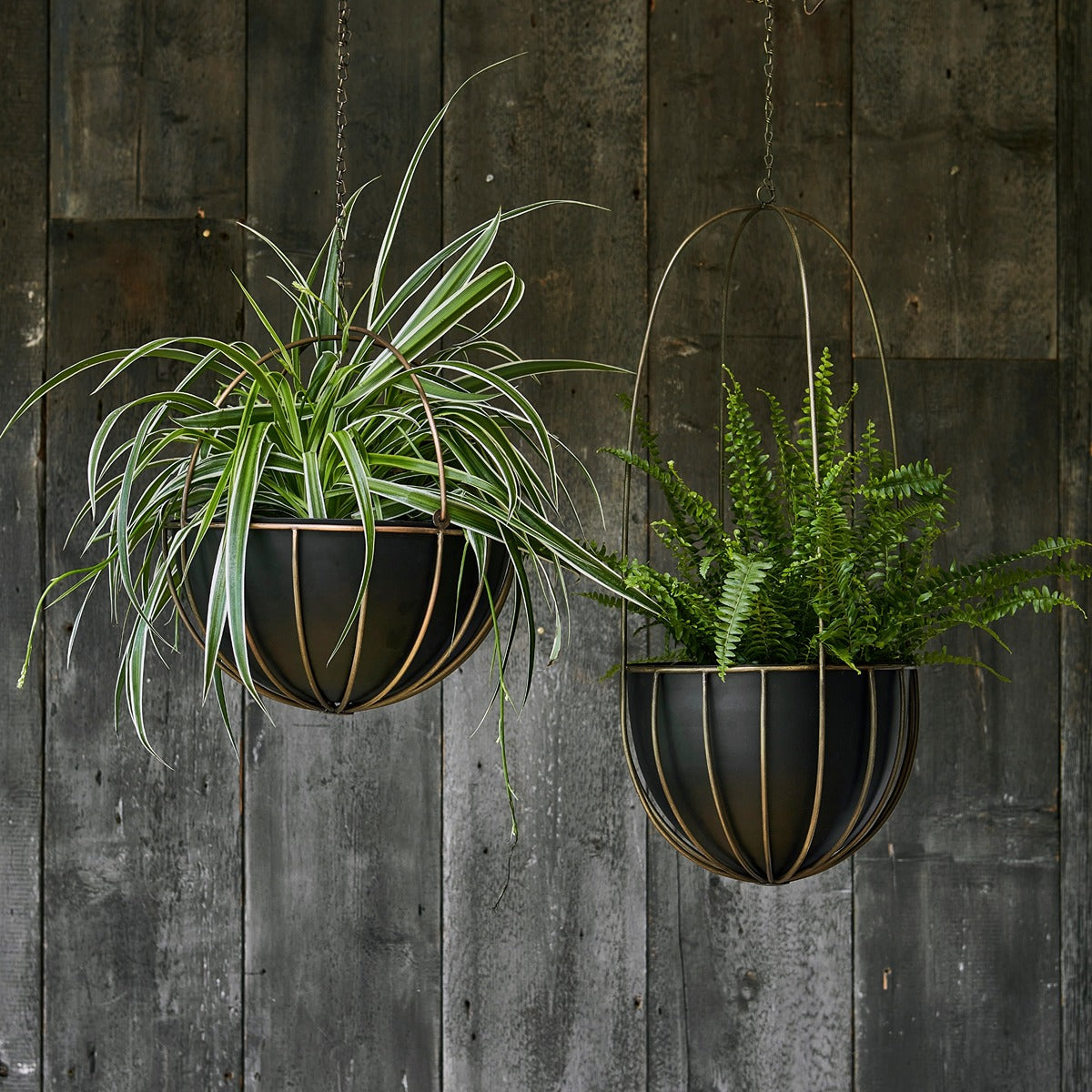 Ivyline Indoor Kensington Brass Hanging Planter