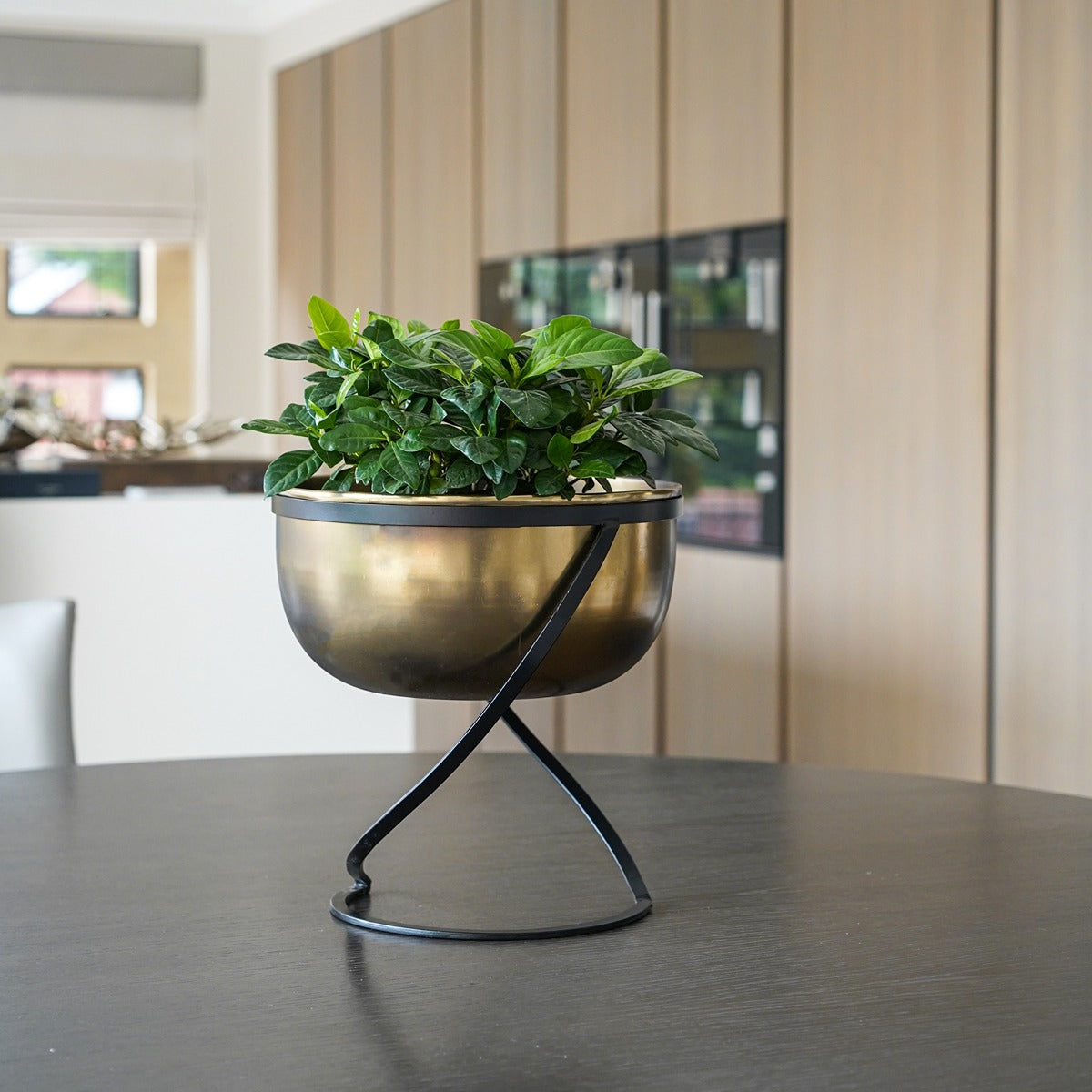 Ivyline Indoor Kensington Brass Metal Planter on Stand