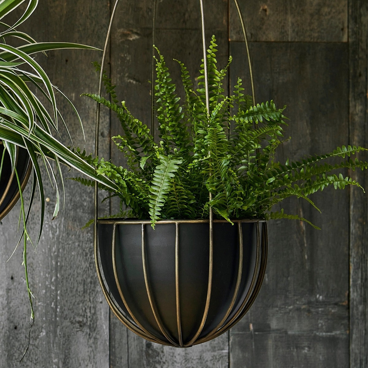 Ivyline Indoor Kensington Brass Tall Hanging Planter