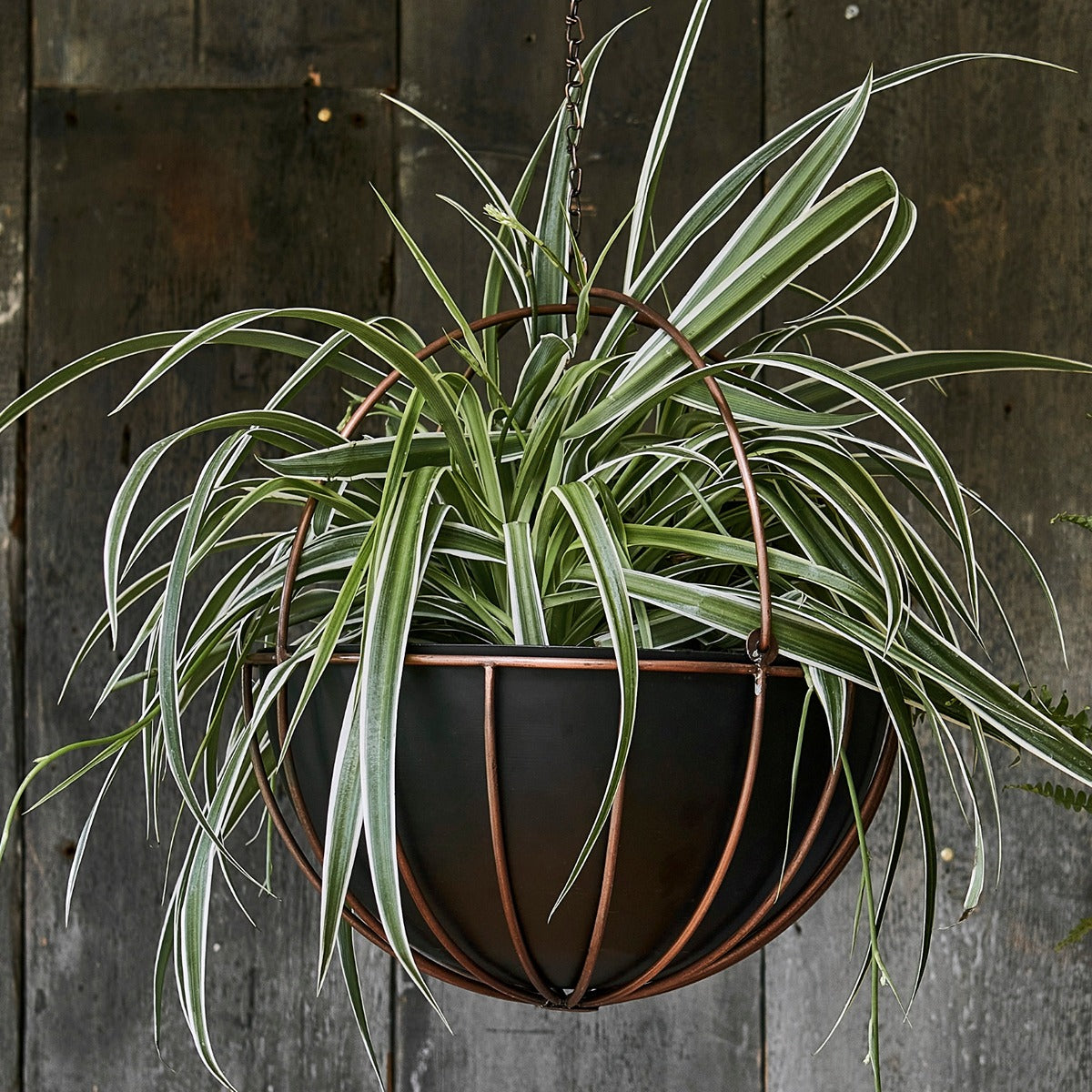 Ivyline Indoor Kensington Copper Hanging Planter