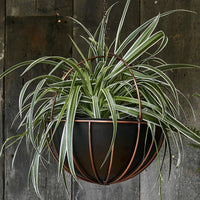 Ivyline Indoor Kensington Copper Hanging Planter