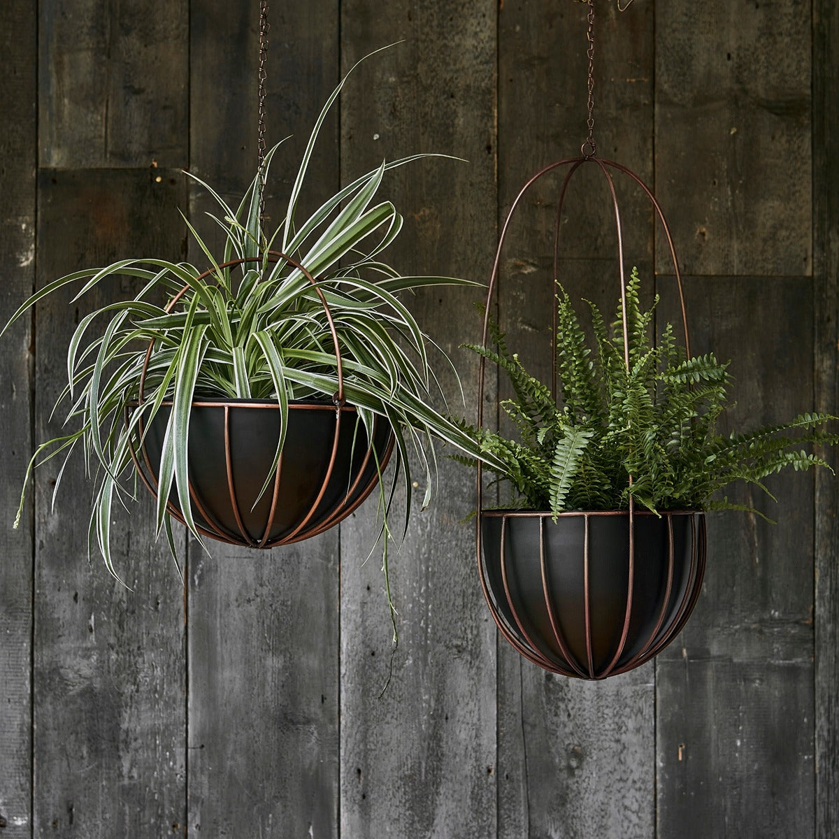 Ivyline Indoor Kensington Copper Hanging Planter