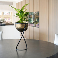 Ivyline Indoor Kensington Tall Brass Metal Round Planter on Stand