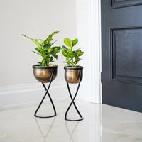 Ivyline Indoor Kensington Tall Brass Metal Round Planter on Stand