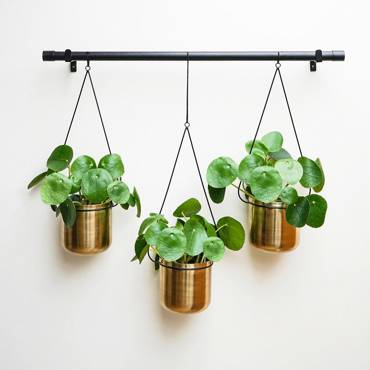 Ivyline  Linear Hanging Planters Black and Gold