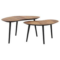 DTP Interiors Organus Set of 2 Coffee Tables in Recycled Natural Teakwood