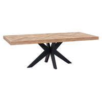 DTP Home Einstein Rectangular Dining Table in Recycled Teakwood Finish