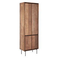 DTP Home Metropole Cupboard in Recycled Teakwood Finish