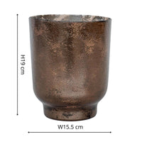 Ivyline Metallic Glass Holder in Bronze