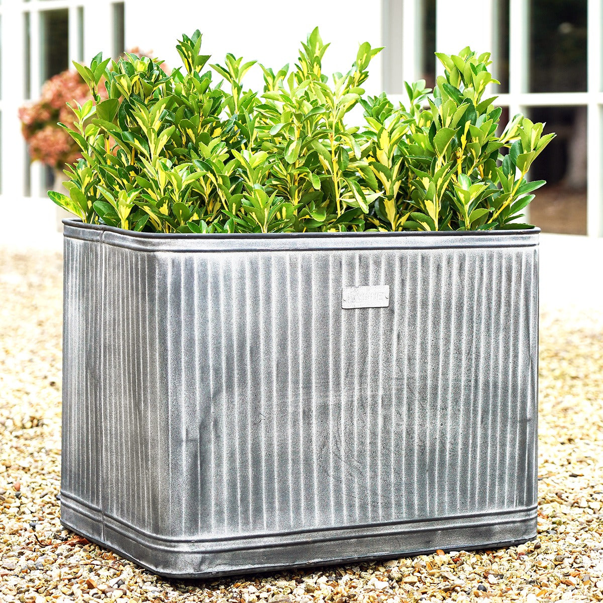 Ivyline Outdoor Hampton Rectangular Galvanised Metal Planter