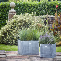 Ivyline Outdoor Hampton Rectangular Galvanised Metal Planter