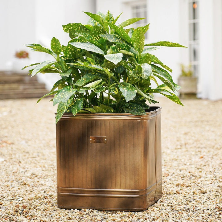 Outdoor Hampton Square Metal Planter - Copper Ivyline 2