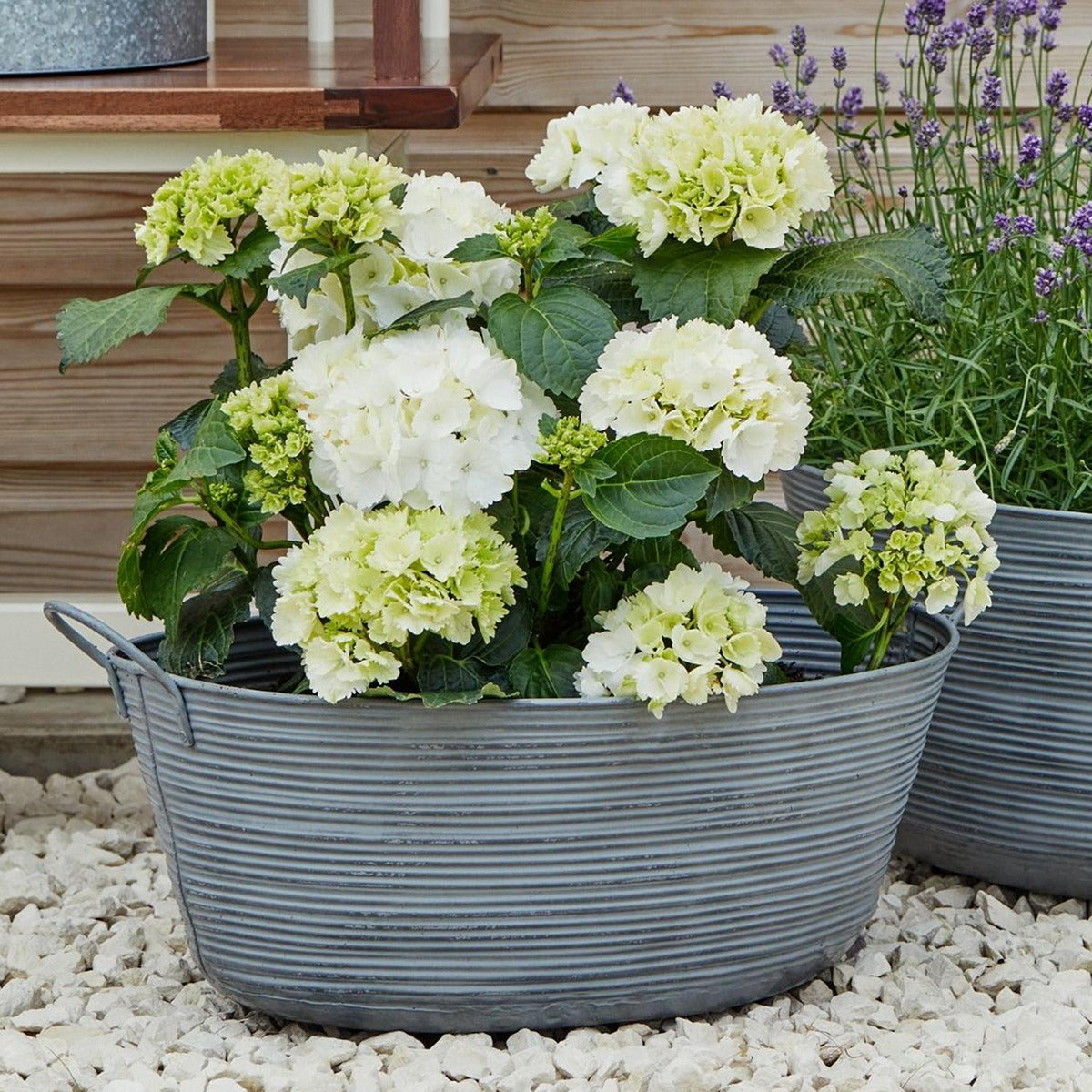 Ivyline Outdoor Matlock Oval Planter