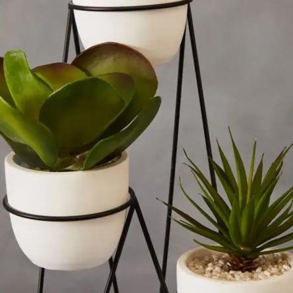  Premier-Olivia's Fiori Set Of 3 Succulents With Metal Stand-Monochrome  205 